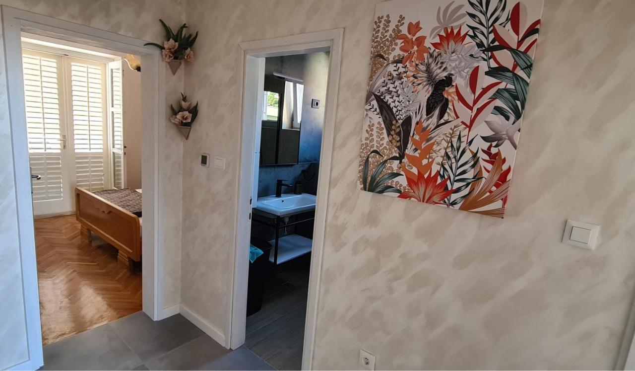 דוברובניק Apartment Solvit מראה חיצוני תמונה